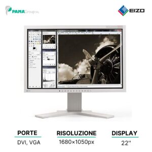 Monitor LCD 22" Eizo Flexscan S2202W 1680x1050 VGA-DVI Wide Multimediale Ricondizionato Grado A
